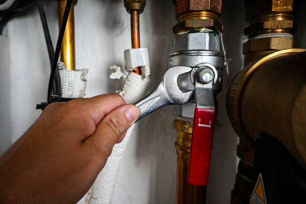 Best Local Plumber Services  in Robbins, IL